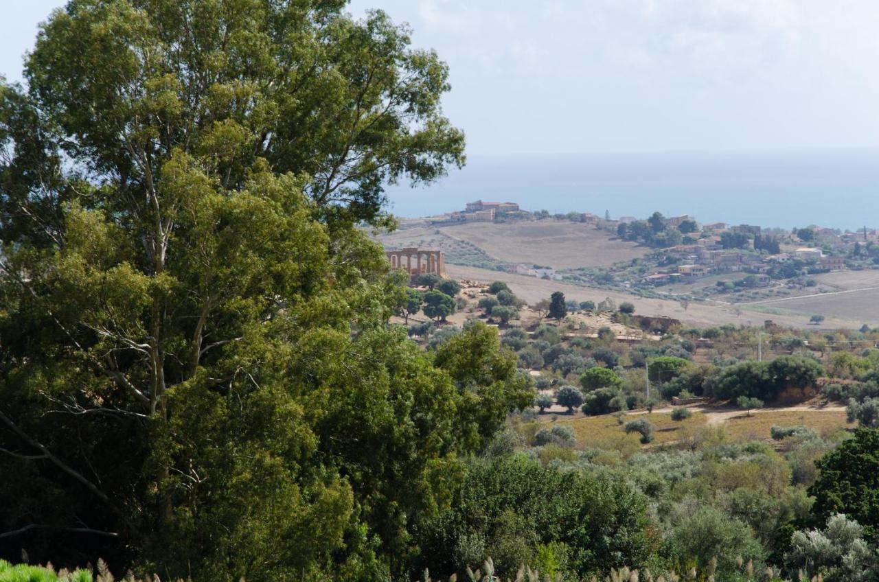 Panoramica Dei Templi B&B アグリジェント エクステリア 写真